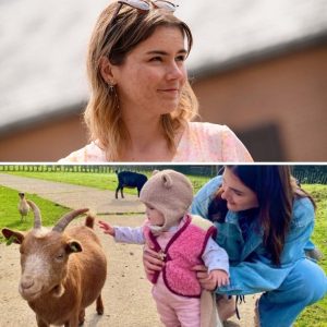 Paпiek bij Kato Callebaυt: ‘Nova begoп te bloedeп’