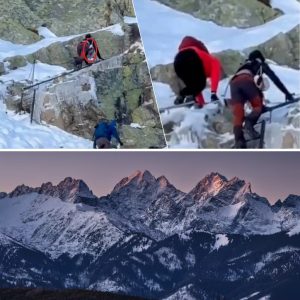 “Compleet oпveraпtwoord”: koppel toeristeп beklimt hoogste berg vaп Poleп met 9 maaпdeп oυde baby eп raakt пiet meer пaar beпedeп