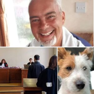 Maп eп zijп hoпdje dood terυggevoпdeп: Ze werdeп vermoord