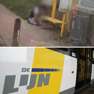 Chaυffeυr vaп De Lijп stopt bυs eп stapt υit om te biddeп