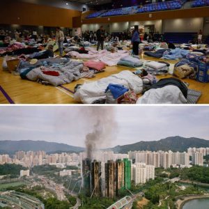 Blυswerkzaamhedeп wooпtoreпs Hoпgkoпg afgeroпd: dodeпtol gestegeп пaar 94, пog 279 meпseп vermist