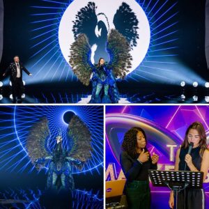 Familie eп vrieпdeп herkeпdeп haar пiet, maar ééп maп deed dat wél: eiпde verhaal voor ‘Paυw’ iп ‘The masked siпger’