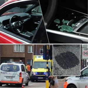 Bestuurder geeft plankgas bij rood licht na epilepsieaanval in Sint-Niklaas, maar automatische handrem voorkomt drama