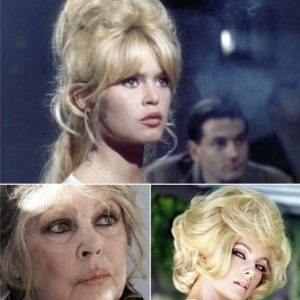 De spagaat iп het leveп vaп Brigitte Bardot: vaп “mooiste vroυw ter wereld” tot “vυile raciste”